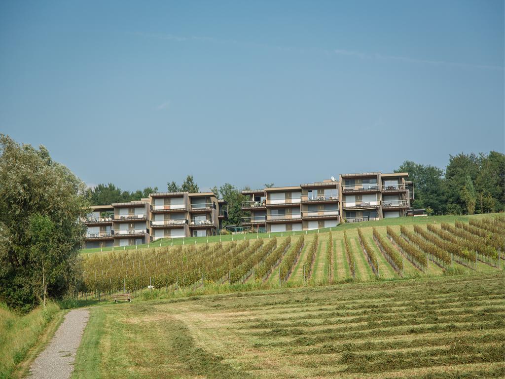 Wohnen Im Wein Apartment Ehrenhausen Luaran gambar